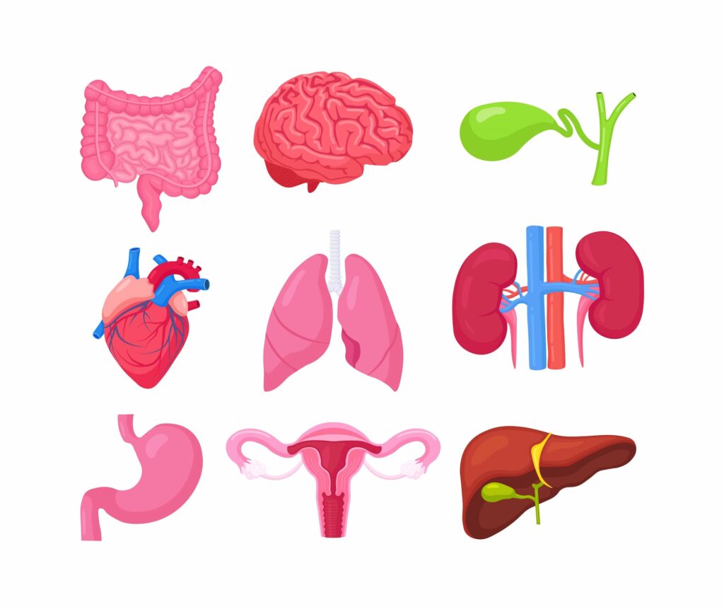 Illustration scientifique montrant la conception et l'impact pour la diffusion du savoir.