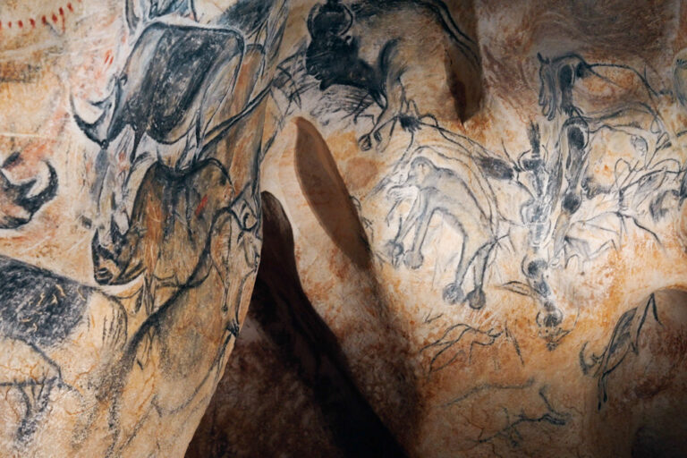 Chauvet - Perceptiom